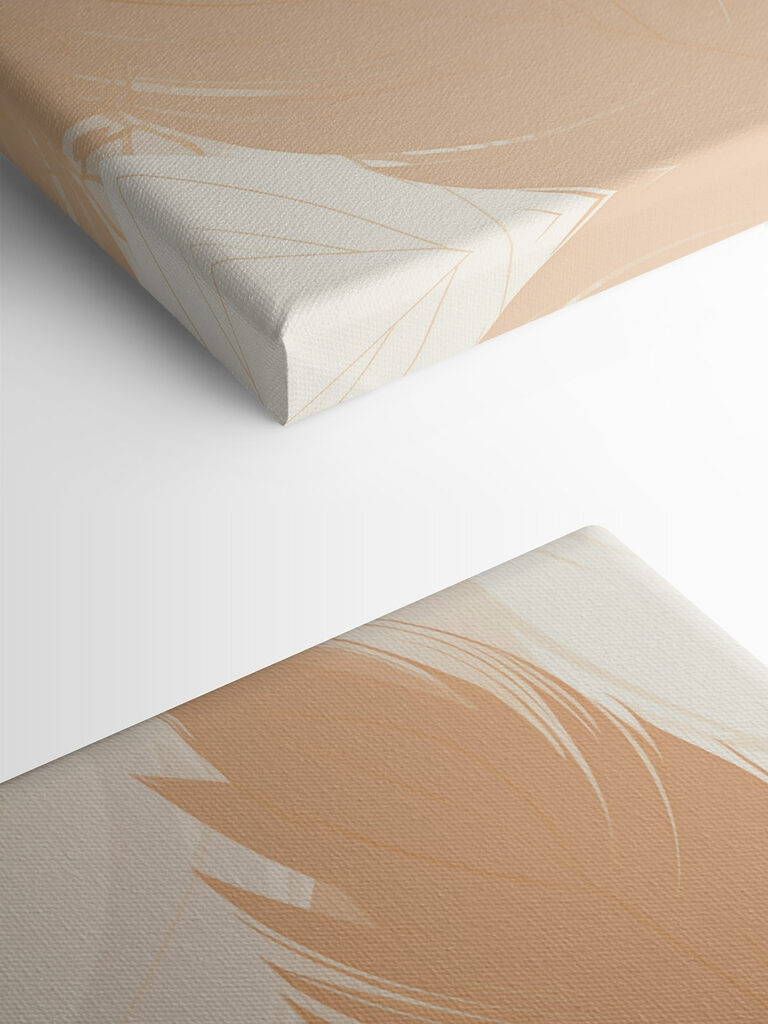 Group of feathers on a surface