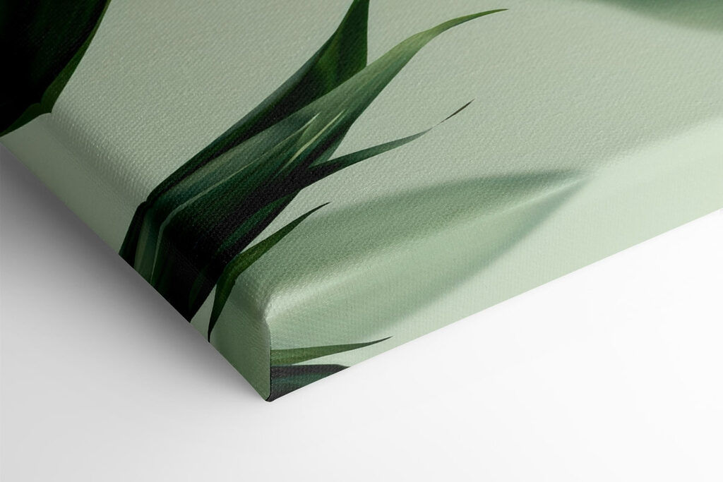 Lush leaves against soft backdrop