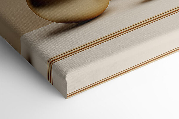 Soft curves and shapes in harmony Soft curves and shapes in harmony
