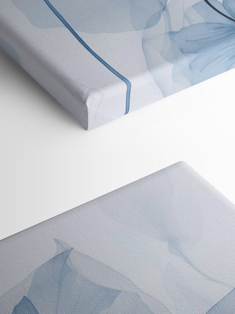 Delicate blue leaves on white backdrop