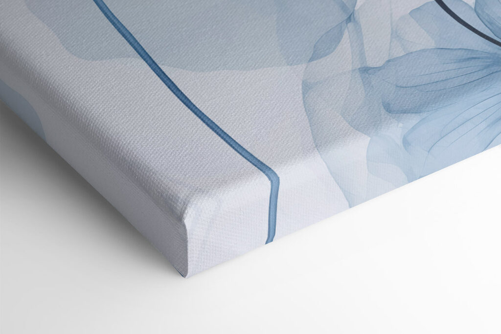 Delicate blue leaves on white backdrop