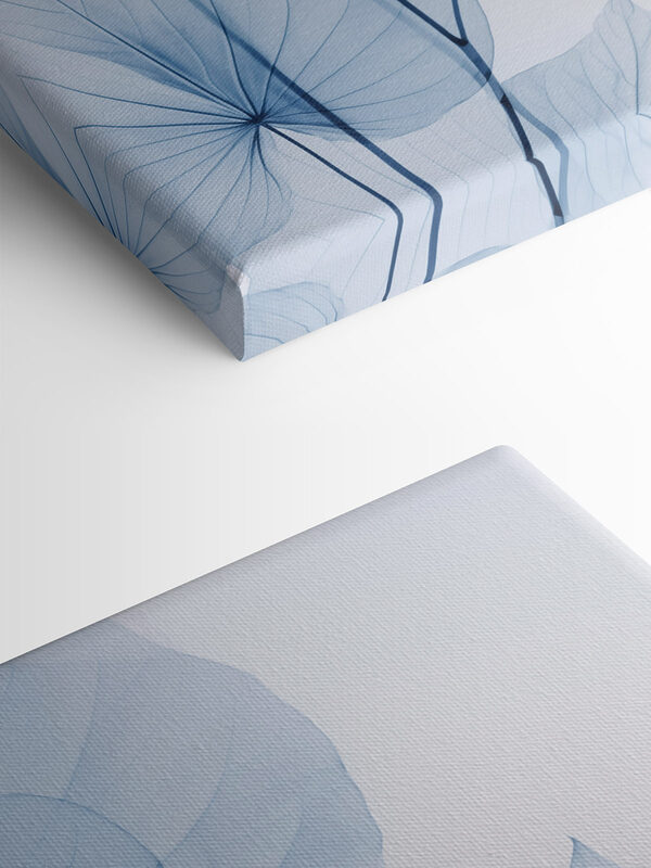 Delicate blue leaves on pale background
