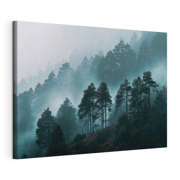 Quadri Foresta nebbiosa con alberi (COD: s49672) Quadri Quadri Foresta nebbiosa con alberi (COD: s49672)