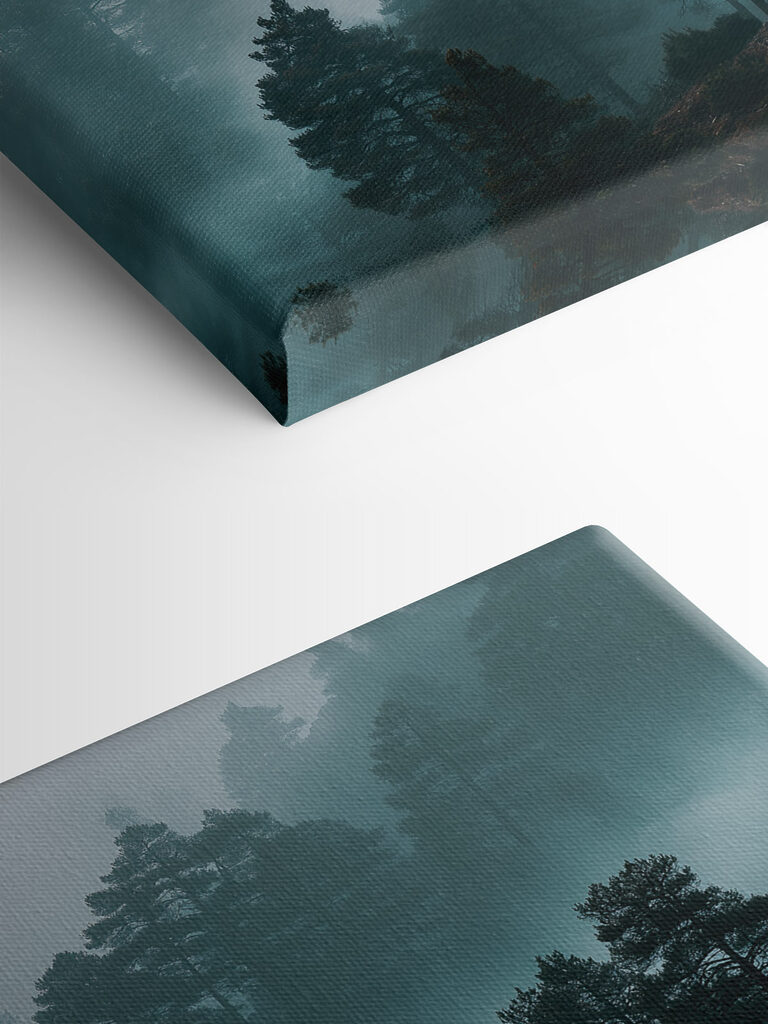 Foggy forest with trees
