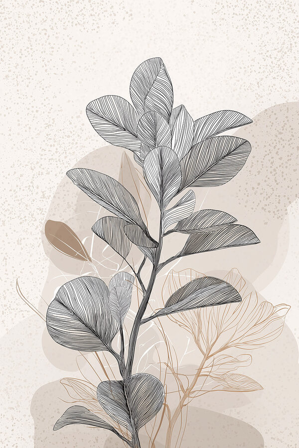 Plant with black and white leaves Plant with black and white leaves
