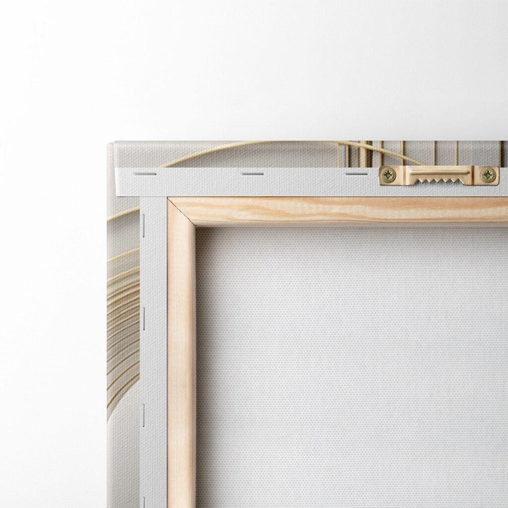 Elegant curves and smooth shapes unite