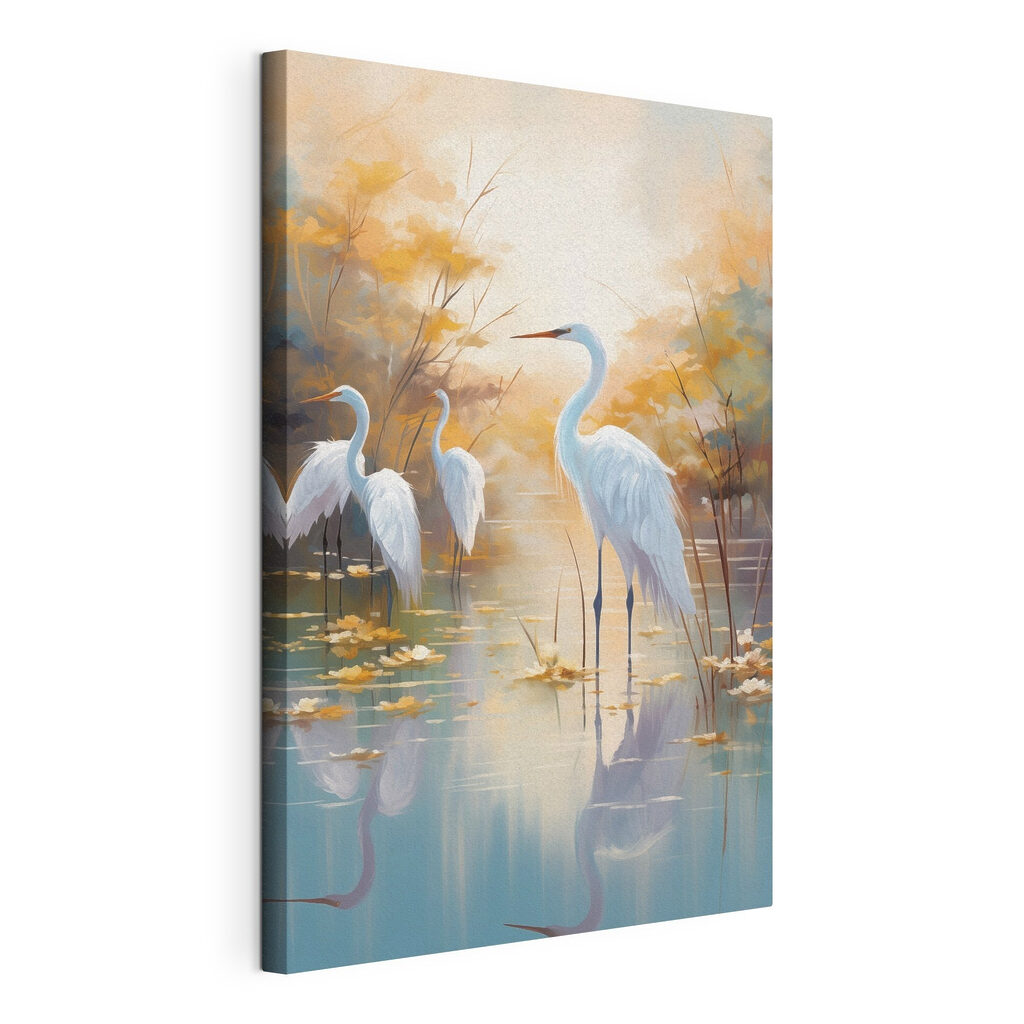 Group of white birds in a pond Group of white birds in a pond