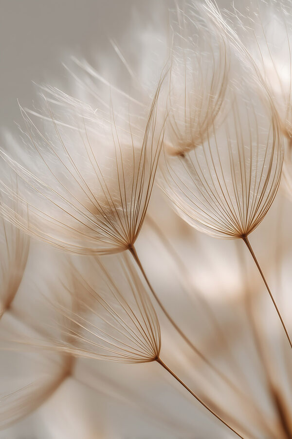 Delicate wisps dancing in soft light