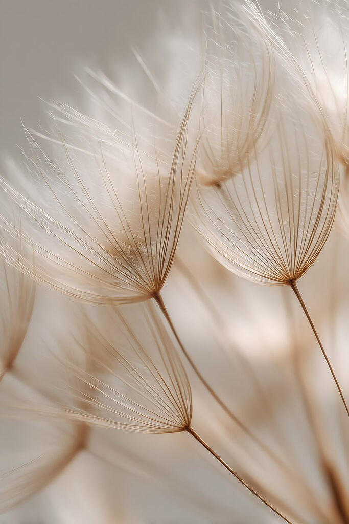 Delicate wisps dancing in soft light