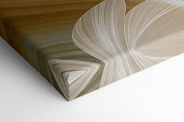 Soft curves and gentle lines collide