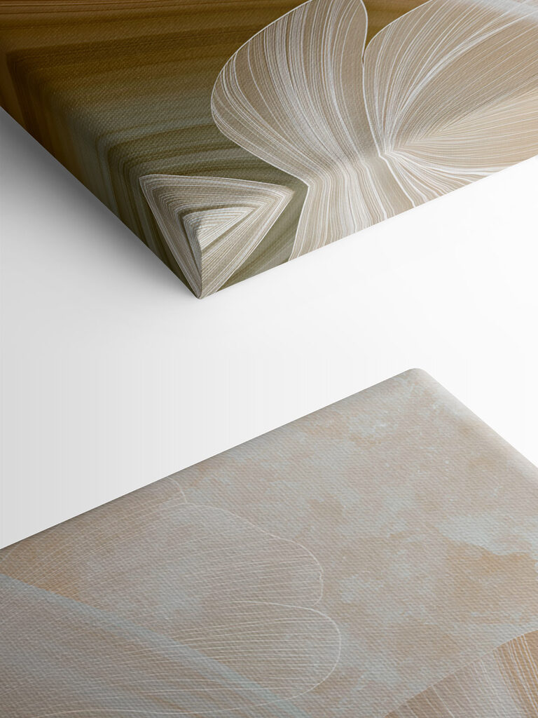 Soft curves and gentle lines collide