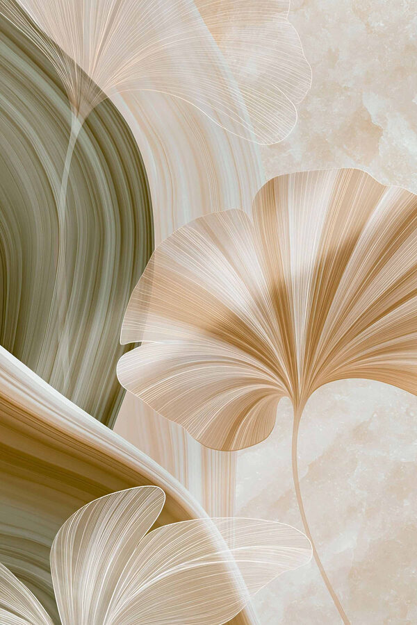Soft curves and gentle lines collide