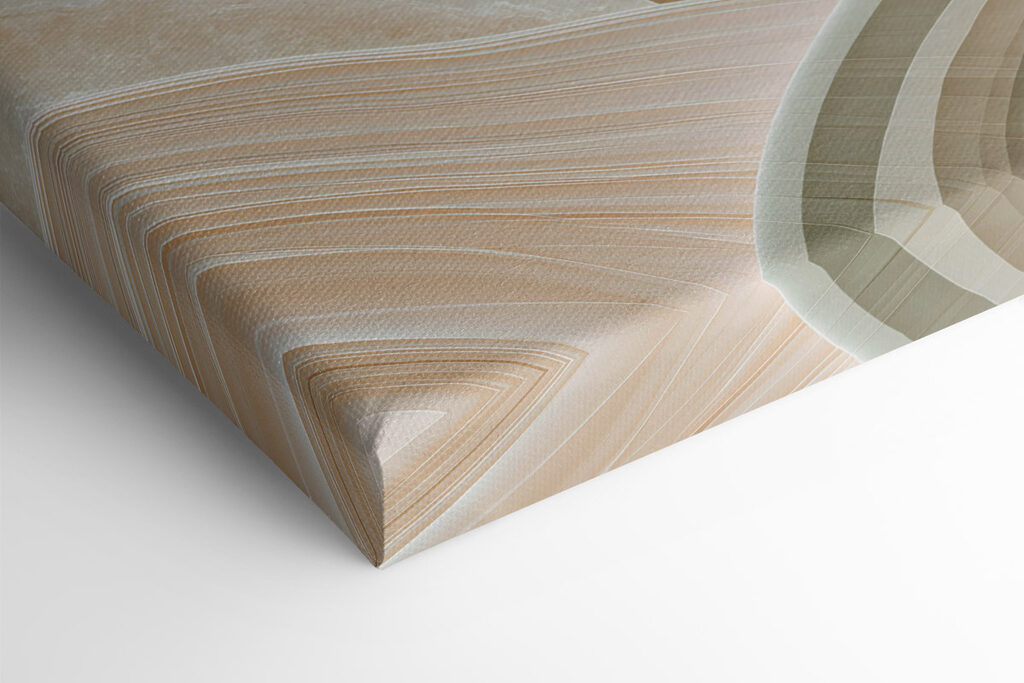Soft curves and gentle hues blend together