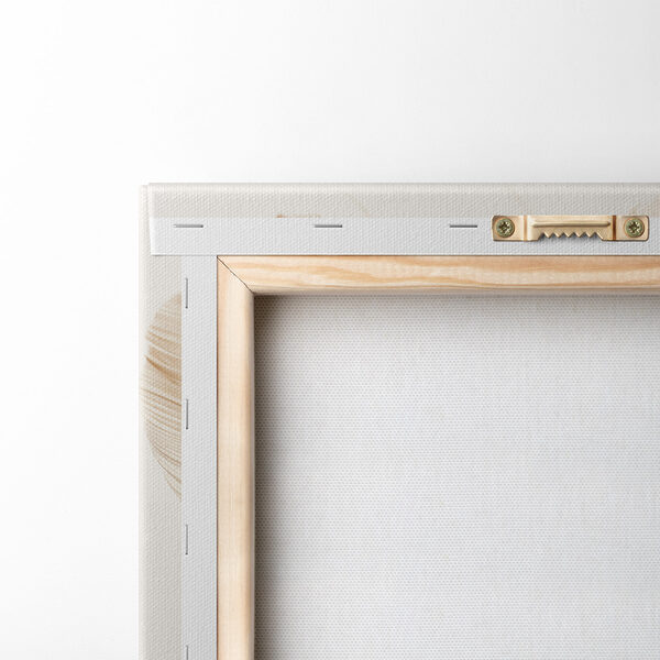 Delicate feathers in soft tones Delicate feathers in soft tones