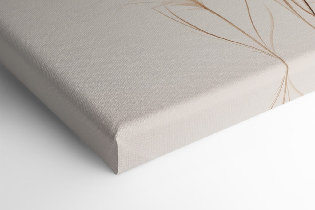 Delicate feathers in soft tones Delicate feathers in soft tones