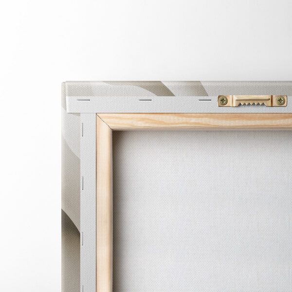 White and grey background