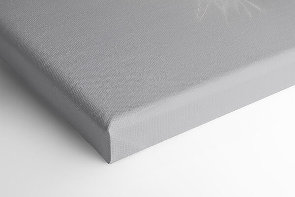 White feather on a white background White feather on a white background