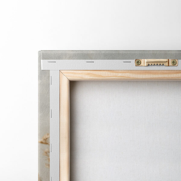 Dried blooms against a soft backdrop