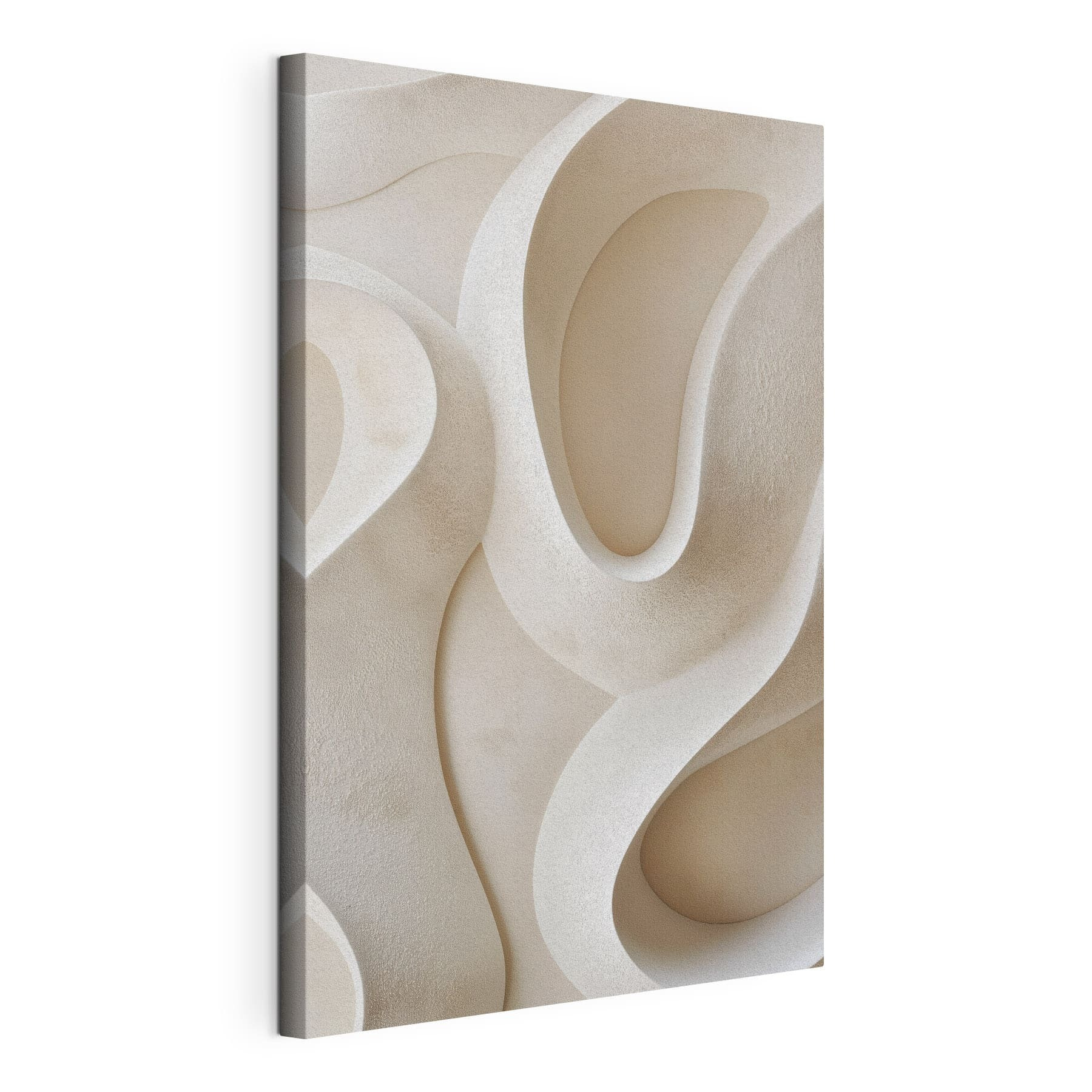 White wall with curved lines