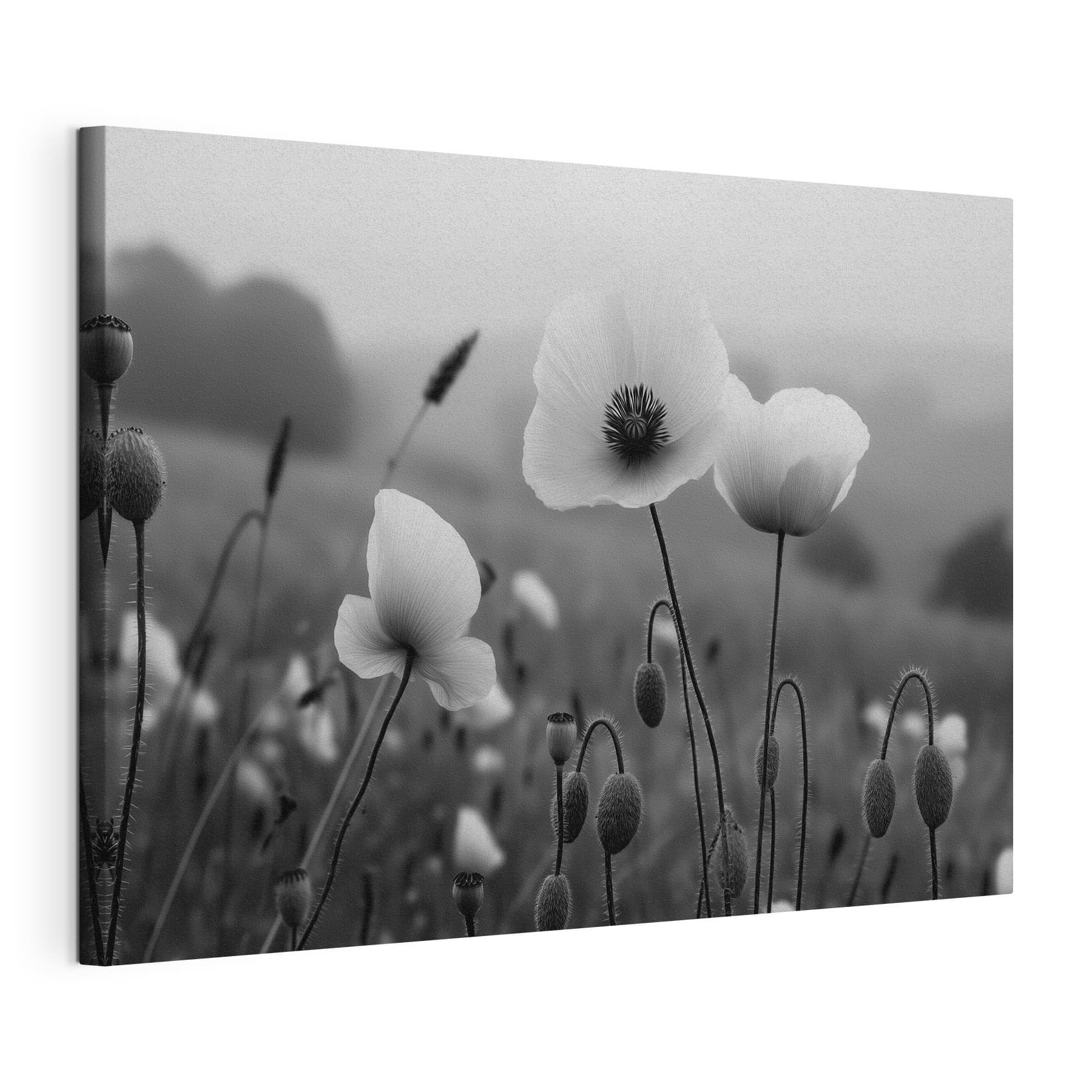 Delicate blooms in serene landscape Delicate blooms in serene landscape
