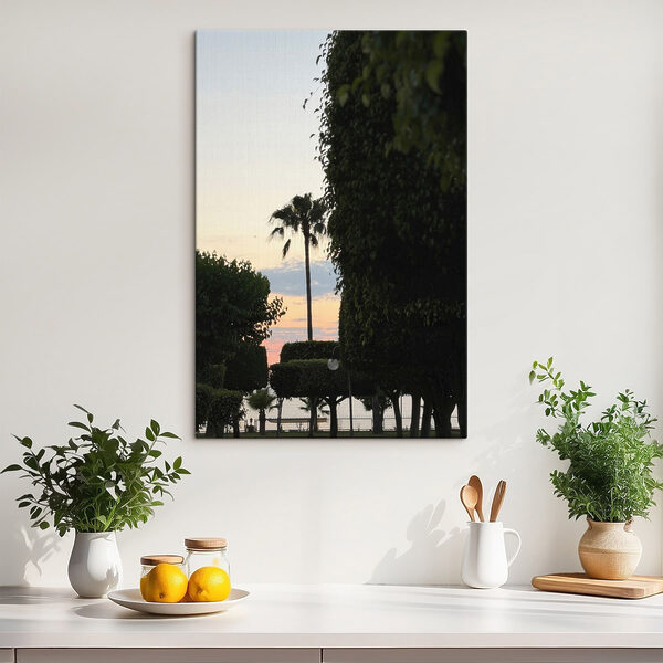 Palm trees and bushes