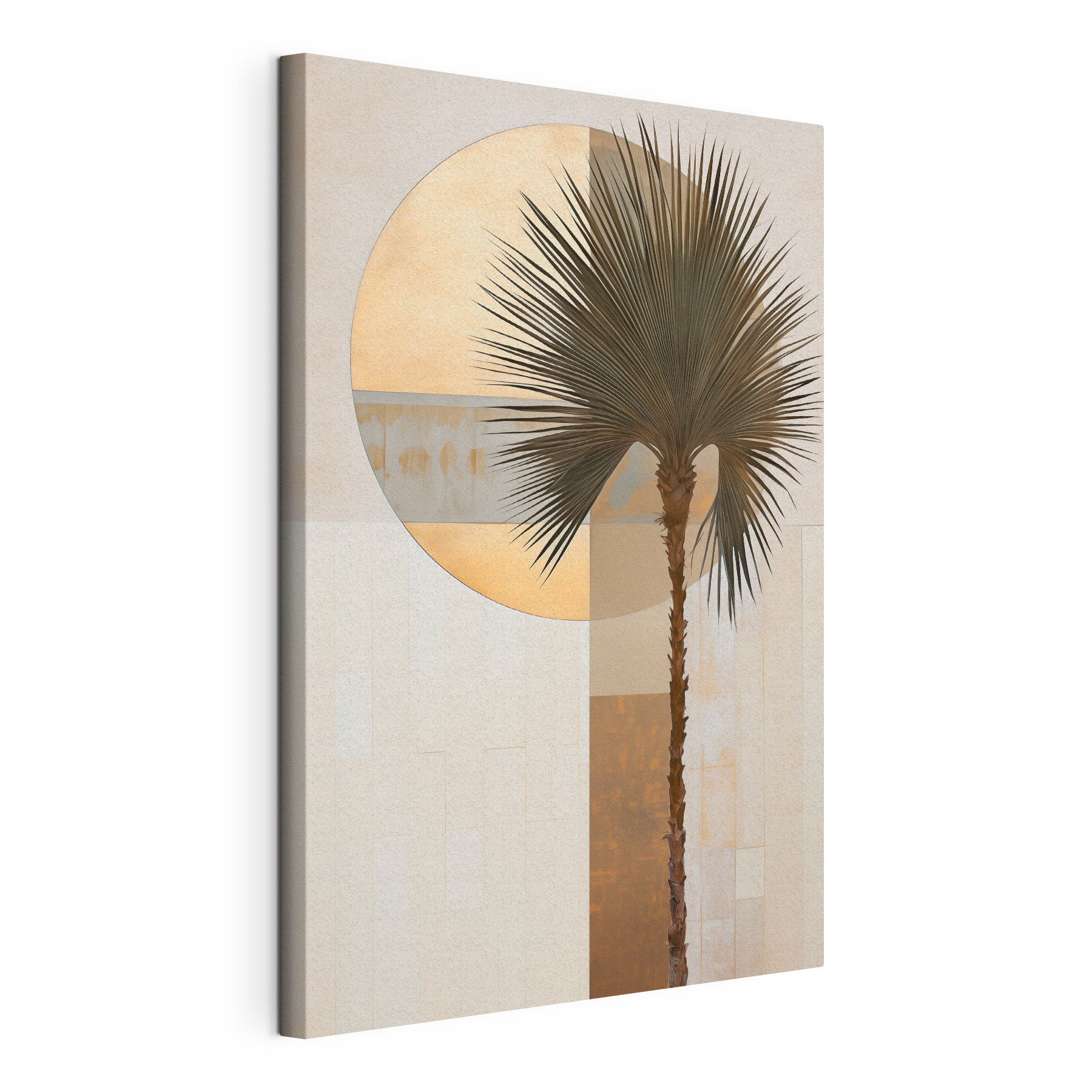 Palm tree in front of a circle Palm tree in front of a circle