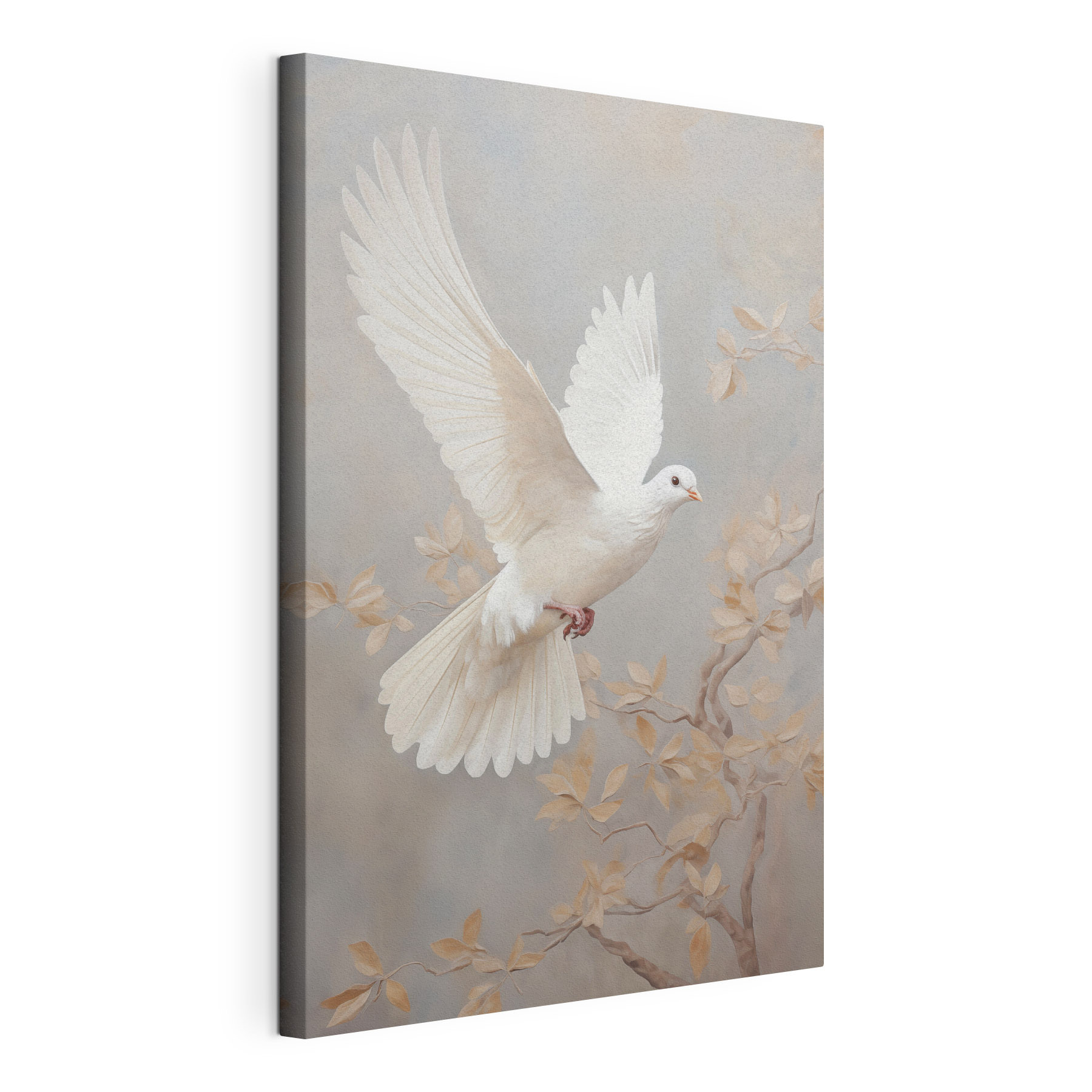 White dove flying in the air White dove flying in the air