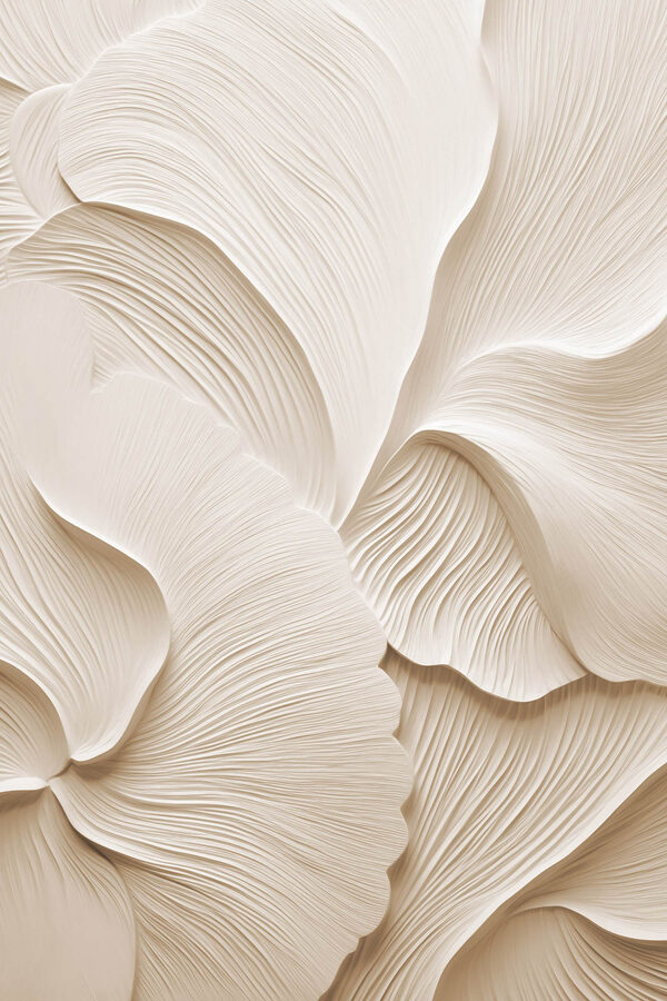 Gentle curves and soft lines abound Gentle curves and soft lines abound