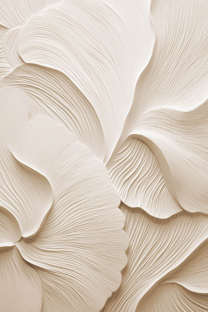 Gentle curves and soft lines abound Gentle curves and soft lines abound