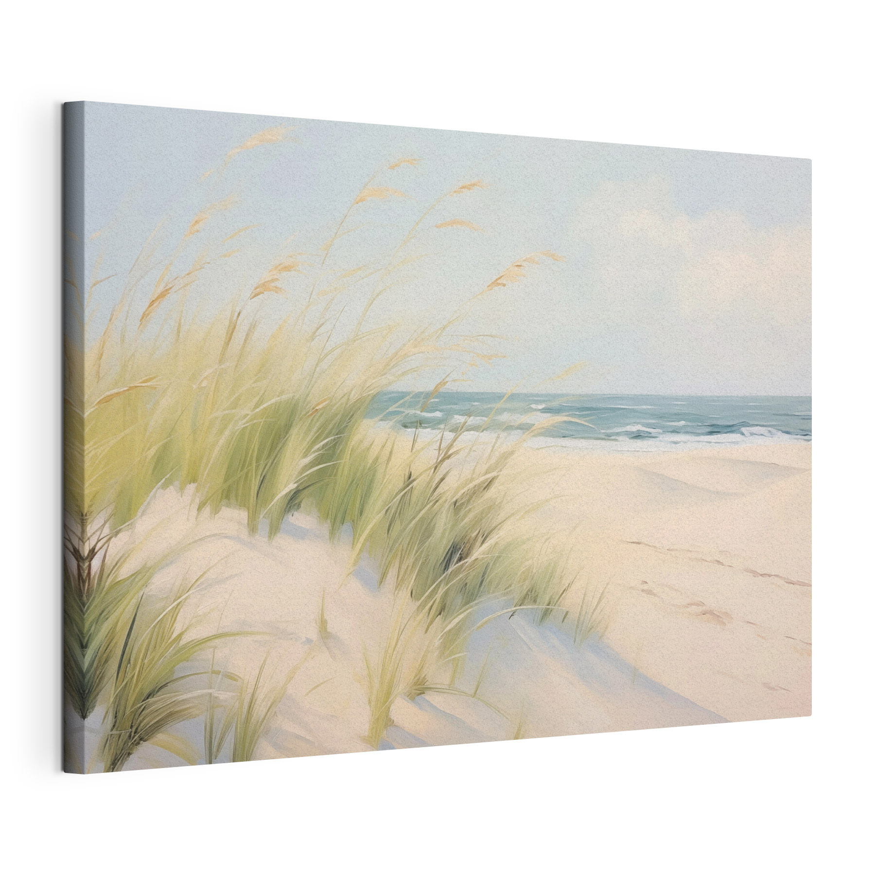 Beach with grass and sand Beach with grass and sand