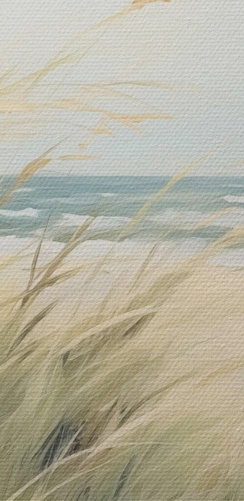 Beach with grass and sand Beach with grass and sand
