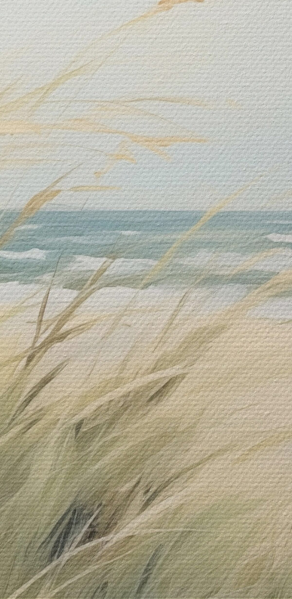 Beach with grass and sand Beach with grass and sand