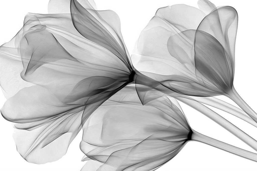 Group of flowers with tulle Group of flowers with tulle
