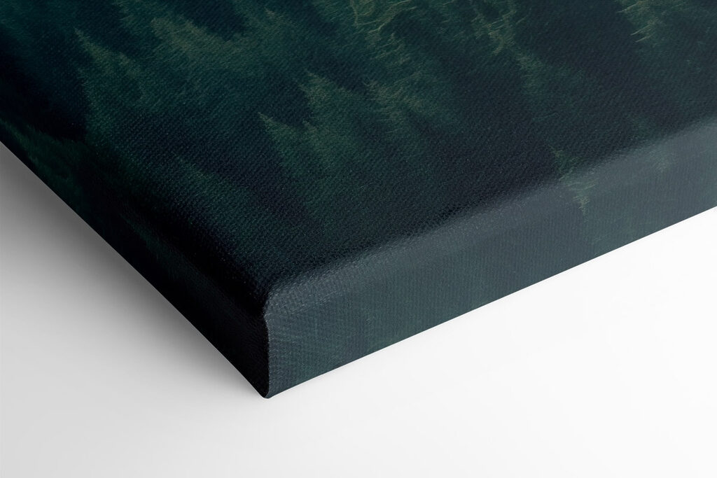 Forest of trees with fog