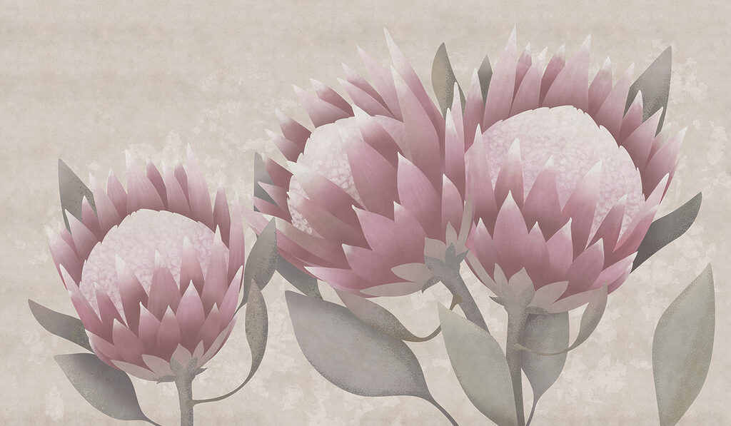 Soft petals in gentle hues Soft petals in gentle hues