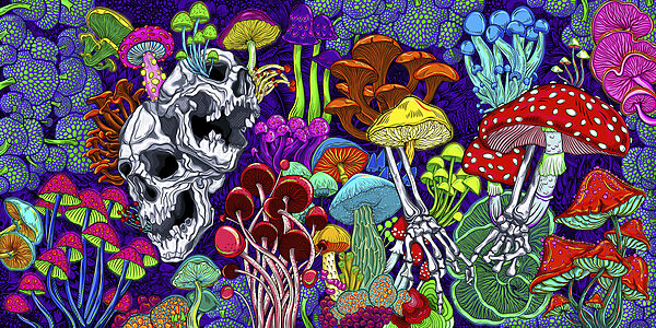 Colorful art of mushrooms and skulls Colorful art of mushrooms and skulls