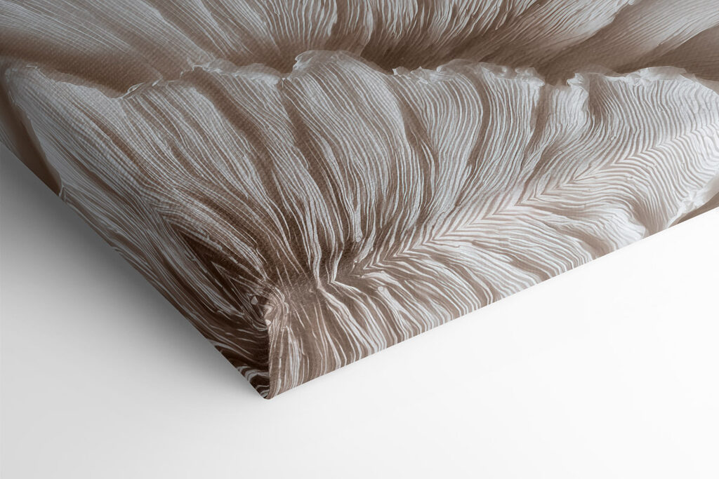 Elegant layers of textured petals Elegant layers of textured petals