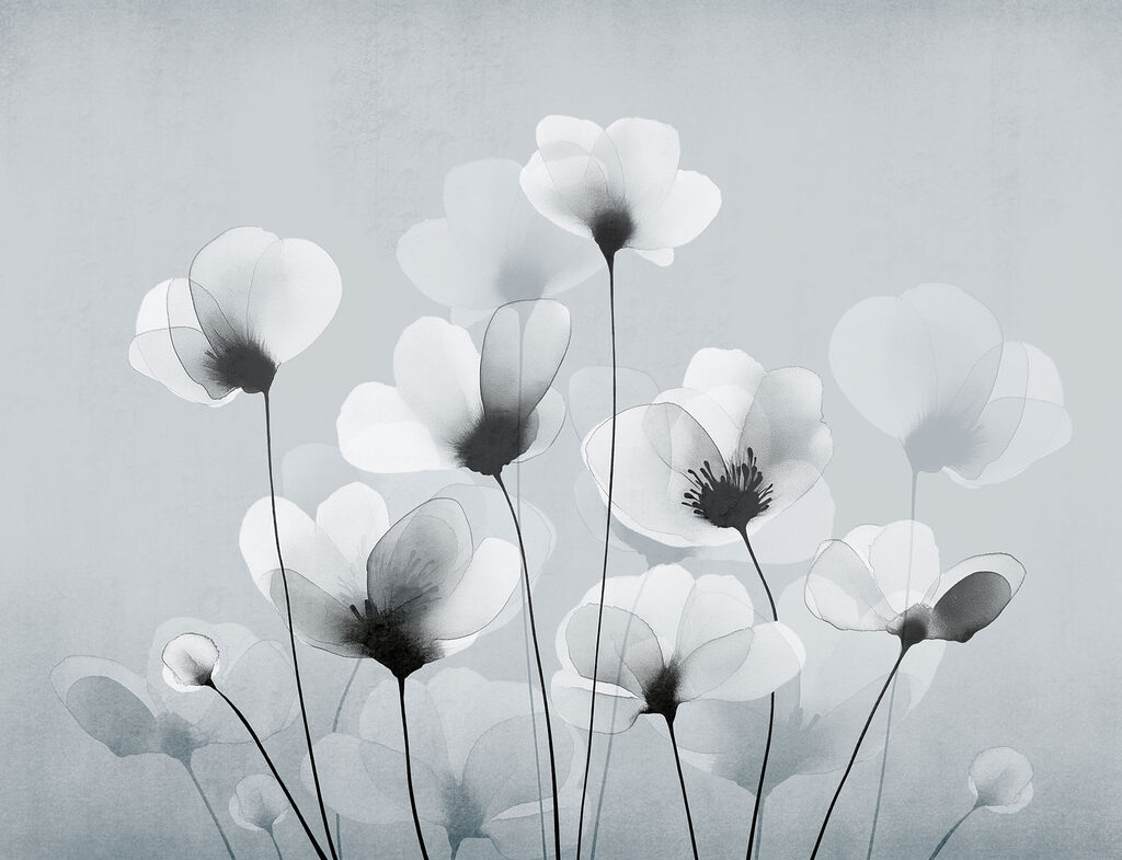 Group of white flowers