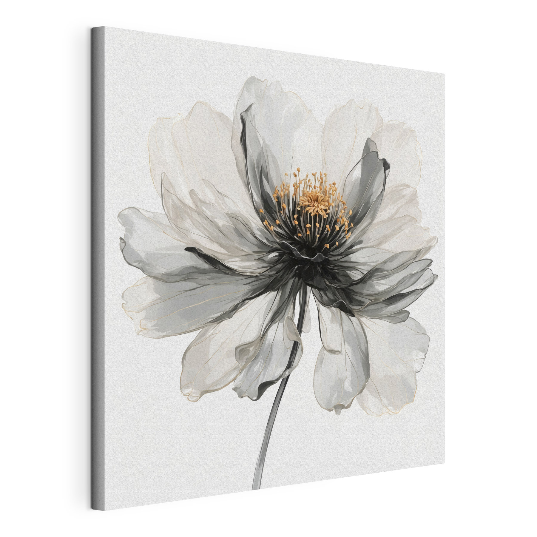 Elegant flower in soft monochrome tones Elegant flower in soft monochrome tones