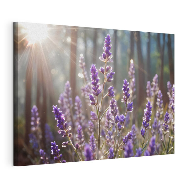 Quadri Primo piano di fiori viola