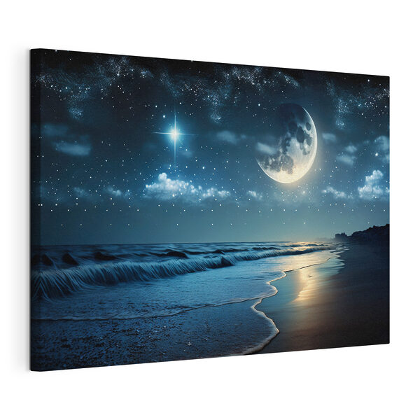 Quadri La luna e le stelle sopra una spiaggia (COD: s31111) Quadri Quadri La luna e le stelle sopra una spiaggia (COD: s31111)