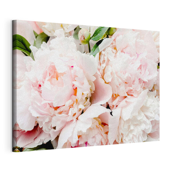 Quadri Un mazzo di fiori rosa