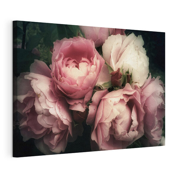 Quadri Quadri Un mazzo di rose rosa e bianche (COD: s35242)