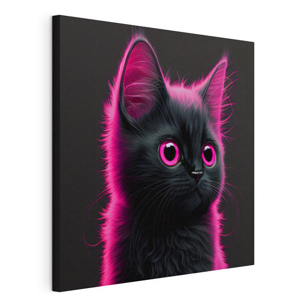 Gatto nero con i capelli rosa Quadri Gatto nero con i capelli rosa