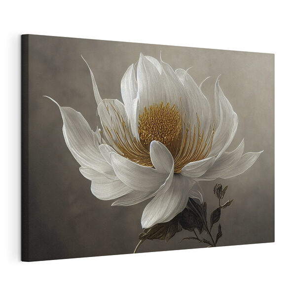 Quadri Quadri Un fiore bianco con il centro giallo (COD: s35725)