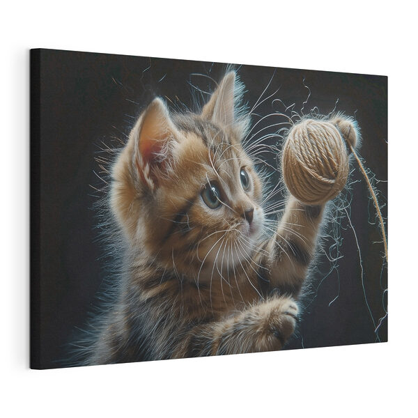 Quadri Quadri Un gatto che gioca con un gomitolo di lana (COD: s38463)