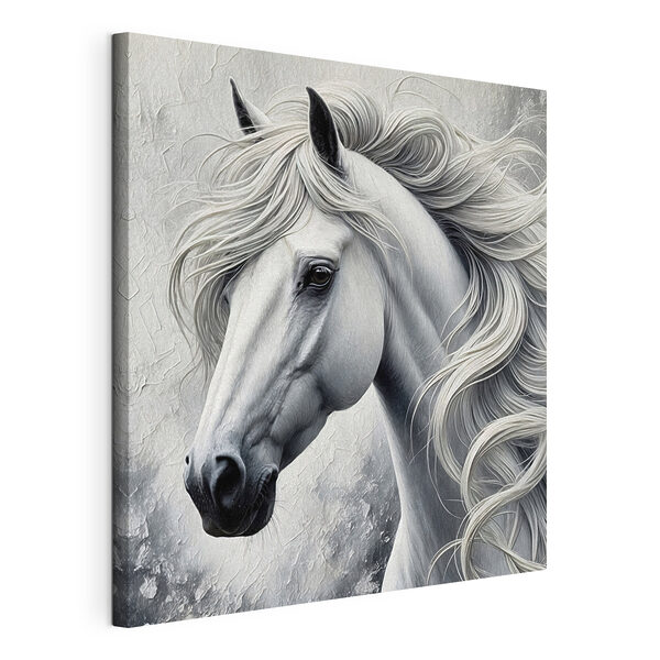 Cavallo bianco dal pelo lungo Quadri Cavallo bianco dal pelo lungo