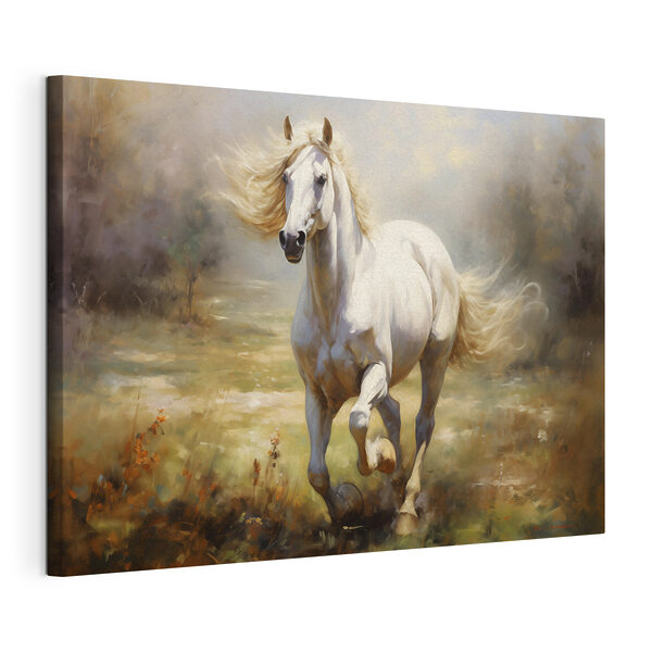 Un cavallo bianco che galoppa in un campo Quadri Un cavallo bianco che galoppa in un campo