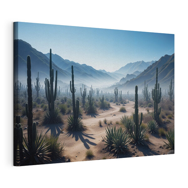 Cactus nel deserto Quadri Cactus nel deserto