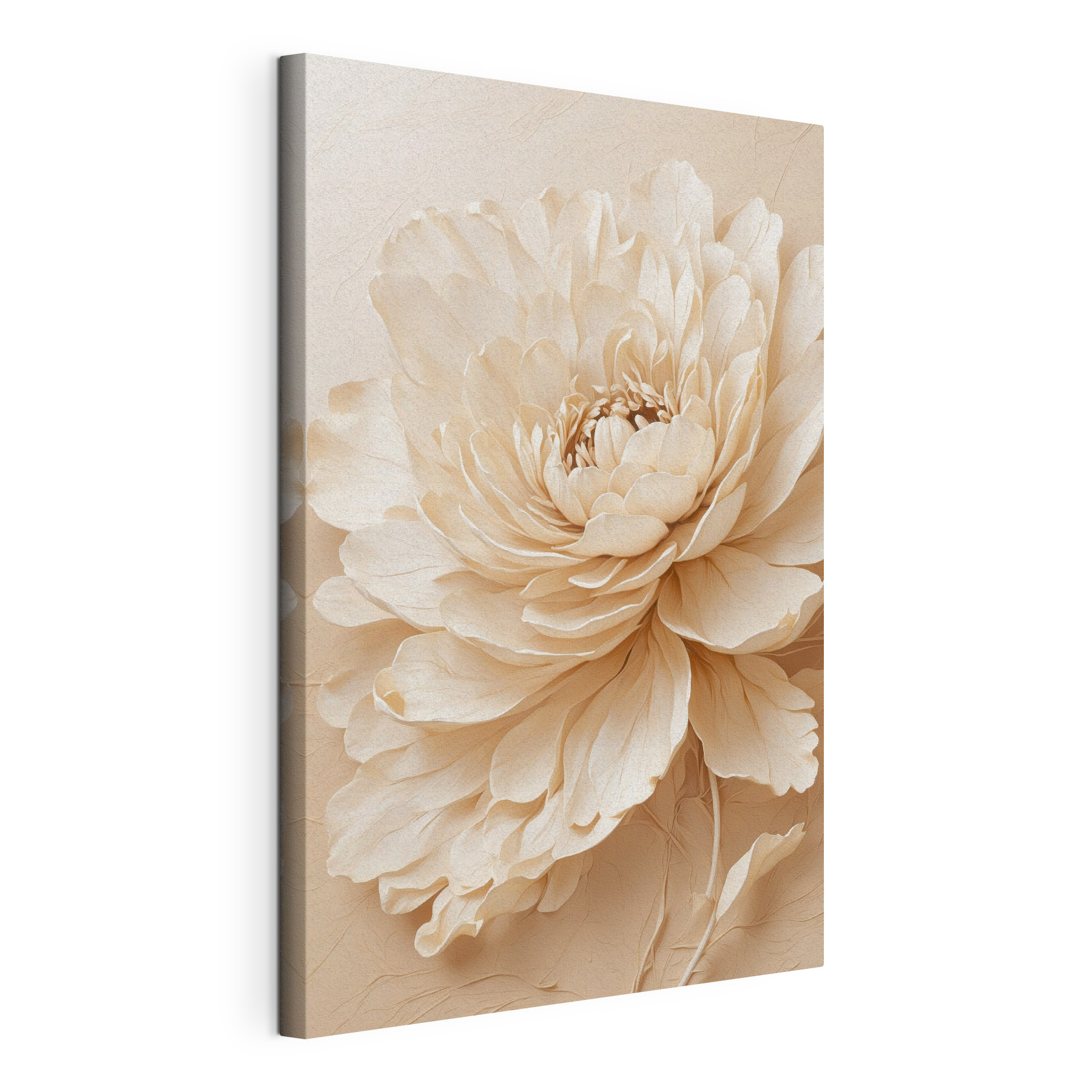 Delicate bloom in soft hues Delicate bloom in soft hues
